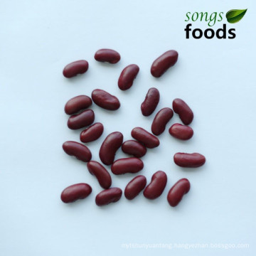 Competitive Ethiopian Dark Red Kidney Beans Wholesale